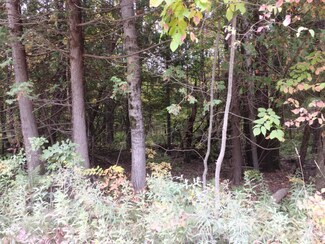 00 S Lakola Rd Unit Lot 5, Reed City, MI 49677