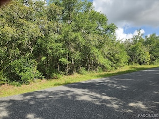 1031 E Lasalle St, Hernando, FL 34442