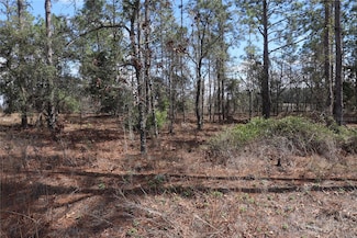 2251 SW Buena Vista Rd, Rainbow Lakes Estates, FL 34431