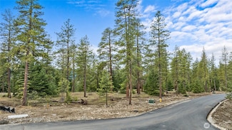 25 Wanawish Loop, Cle Elum, WA 98922