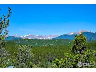 0 Pine Cone Cir Unit RECIR1037889, Ward, CO 80481