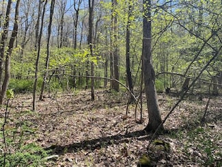 Lot 23 Hemlock Rd, Eldred Township, PA 18058