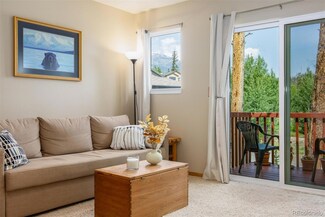 90 Spyglass Ln Unit 90, Silverthorne, CO 80498