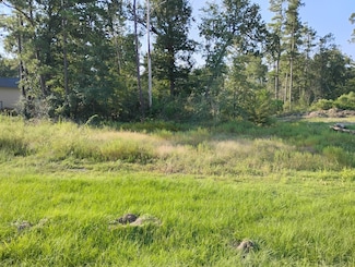 TBD N Cattle Dr, Onalaska, TX 77360