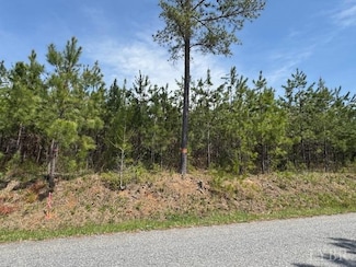 4 Stage Rd, Concord, VA 24538