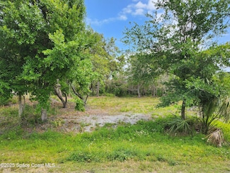11136 Mulberry St, Sebastian, FL 32958