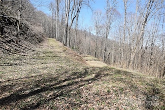 000 Big Laurel Rd Unit A-16 & A-17, Waynesville, NC 28785
