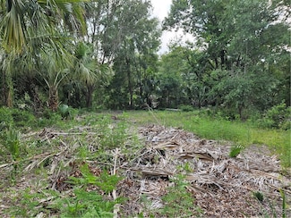 4360 E Nugget Pass Place, Dunnellon, FL 34434