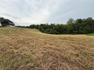 0 Shepards Hill Rd, Jacobsburg, OH 43933