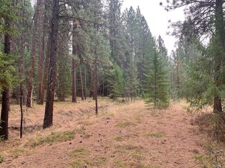 Lot 2 Castle's Riverside Tracts, Superior, MT 59872
