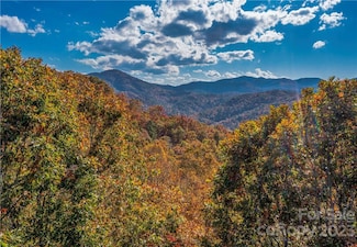 51 Wild Turkey Loop Unit 32, Marshall, NC 28753