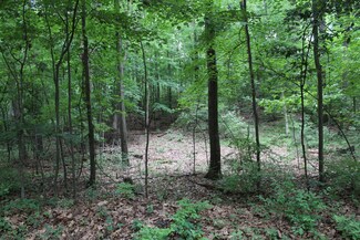 0 Riker Rd Unit 24031493, Chelsea, MI 48118