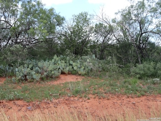 780 County Road 2645, Moore, TX 78057