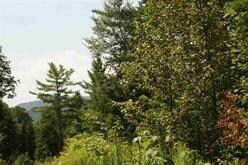 45-46 Blackberry Unit 45-46, Littleton, NH 03561