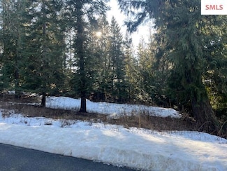 NNA D7 S White Cloud Dr, Sandpoint, ID 83864
