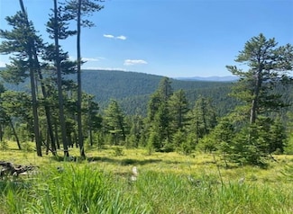 Nhn Argo Mine Rd, Philipsburg, MT 59858