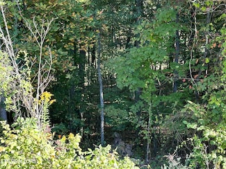 0 Hathburn Dr, Rockwood, TN 37854