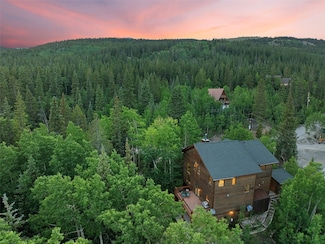 294 Mine Dump Rd, Alma, CO 80420