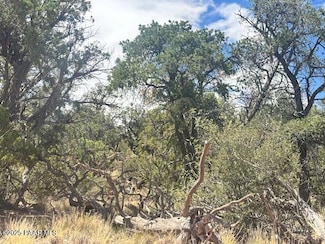 1020 Duffis Bluff Rd, Seligman, AZ 86337