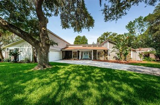 18410 Turning Point Dr, Lutz, FL 33549