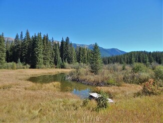 2852 Buck Creek Rd, Condon, MT 59826