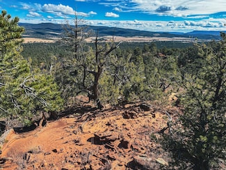 Tracts D1, D2-A, D2- Dragonfly Canyon Rd, Rowe, NM 87562