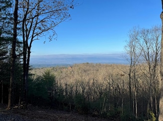 93 Wilderness Creek Way, Murphy, NC 28906