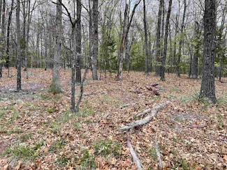 1323 Hummingbird Ln, Horseshoe Bend, AR 72512