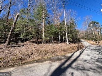 Lot 1 Galloway Blvd Unit 1, Blairsville, GA 30512