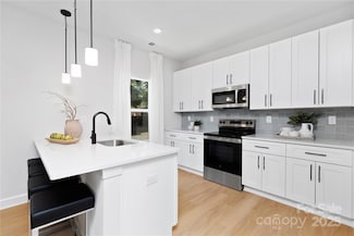 3610 Maggie Laney Dr, Charlotte, NC 28216