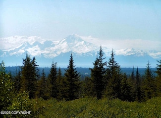 65359 Corabin Rd, Anchor Point, AK 99556
