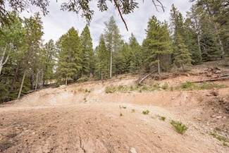 3180/3200 Spruce Dr, Duck Creek Village, UT 84762