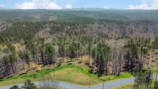 Lot 195 Blalock Mountain Rd, Talking Rock, GA 30175