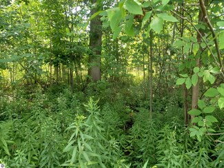 NA E Huron Rd, Au Gres, MI 48703