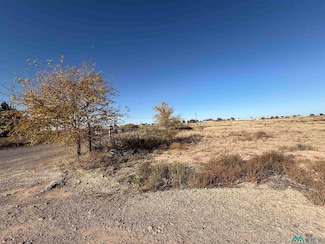 000 Rebel Rd, Dexter, NM 88230