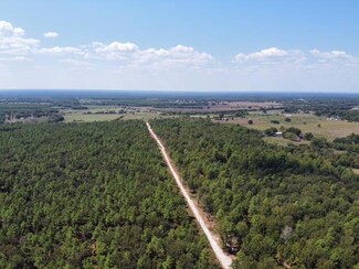 2896P06 County Road 2626, Wells, TX 75976