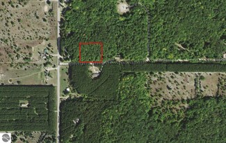 0 Snowflake Trail Unit 1909208, Mancelona, MI 49659