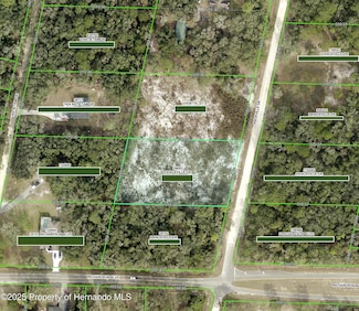 0 Knoxville Dr, Ridge Manor Estates, FL 33597