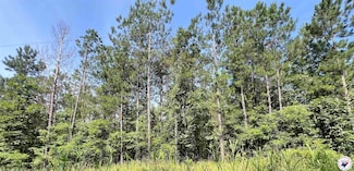17.08 ac New Dora Rd, Haworth, OK 74740