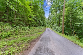 Tbd Speedwell Ln, Bulls Gap, TN 37711