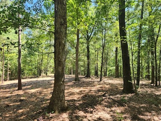 0 Teagle Rd Unit 21190175, Forsyth, GA 31029