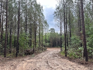 0 Spay Rd, McCool, MS 39108