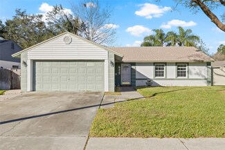 1306 Country Elm Ct, Lutz, FL 33549