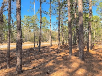 0 Tbd Pleasant Hill Rd Unit LotWP002 22887993, Dillon, SC 29536