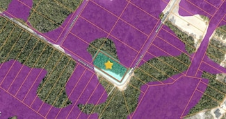 20122 Medicine Stone #10 Dr, Webster, FL 33597