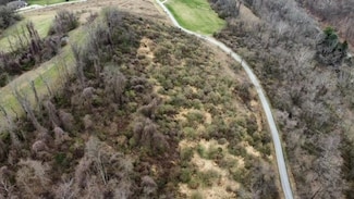 TBA Alexander Estates, Triadelphia, WV 26059