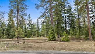 15 Wanawish Loop, Cle Elum, WA 98922