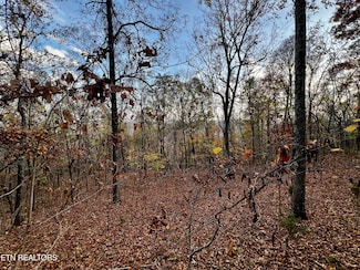 675 Chimney Rock Rd, New Tazewell, TN 37825