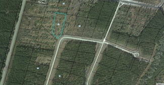 00 (Lot 23) Satilla Plantation Rd, Waynesville, GA 31566