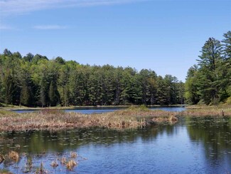 0 Symes Pond Unit 4695275, Ryegate, VT 05042